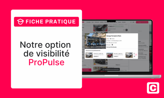 Démultiplier sa visibilité grâce à ProPulse
